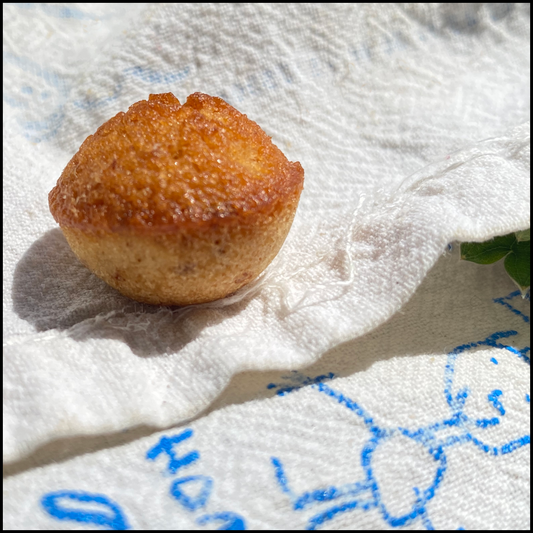 Les Pitits Poissons